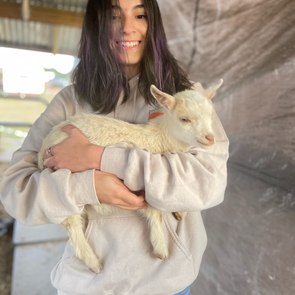 📖🪴Spring Is in the Air🪴Bookmark 🐾🌻 - Picture 10 of 16